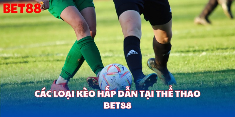 Các loại kèo hấp dẫn tại thể thao bet88